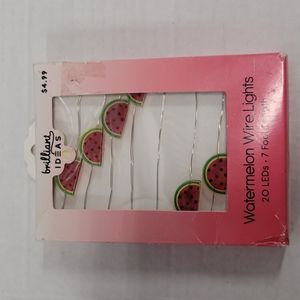 Watermelon Wire Lights